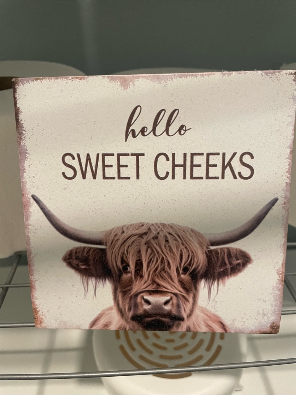 Hello Sweet Cheeks Highland Cow Decorative Sign - Cream & Brown